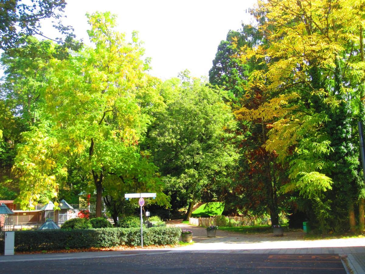 Villa Am Rosenfelspark レラハ エクステリア 写真