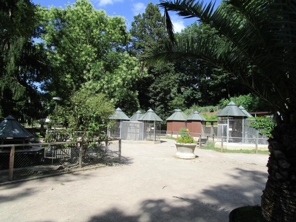 Villa Am Rosenfelspark レラハ エクステリア 写真